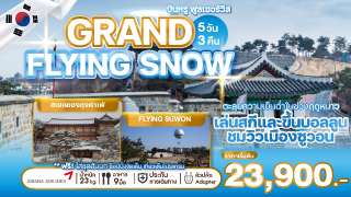 Grand Flying  Snow